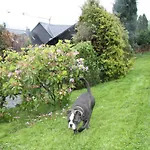 Holiday home Fuer 12 Personen Sauna Garten Garage Hund