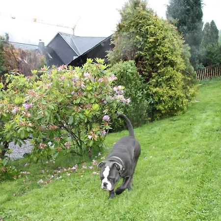 Nyaraló Fuer 12 Personen Sauna Garten Garage Hund