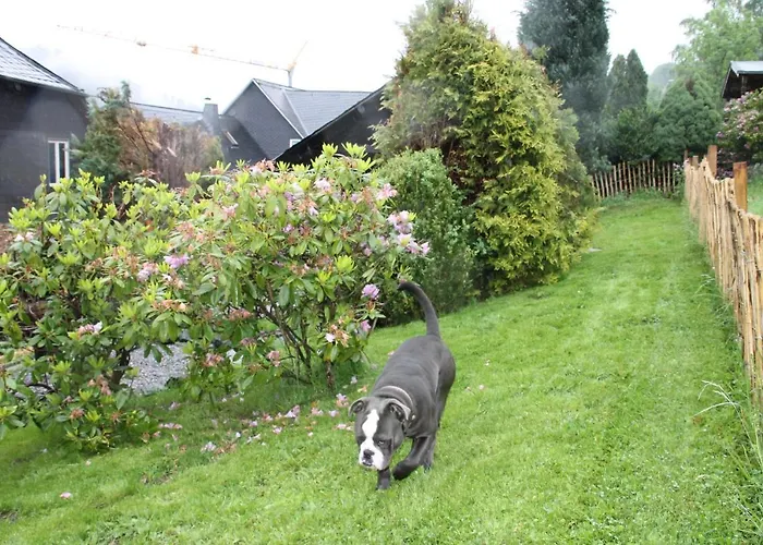 Holiday home Fuer 12 Personen Sauna Garten Garage Hund
