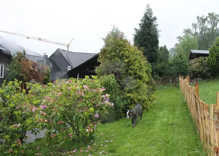 Für 12 Personen Sauna Garten Garage Hund * Winterberg