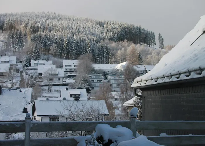 Fuer 12 Personen Sauna Garten Garage Hund Vakantiehuis
