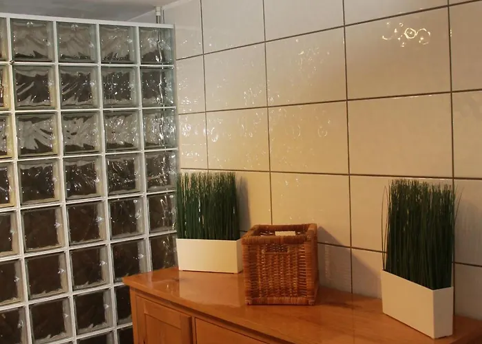 Vakantiehuis Fuer 12 Personen Sauna Garten Garage Hund *