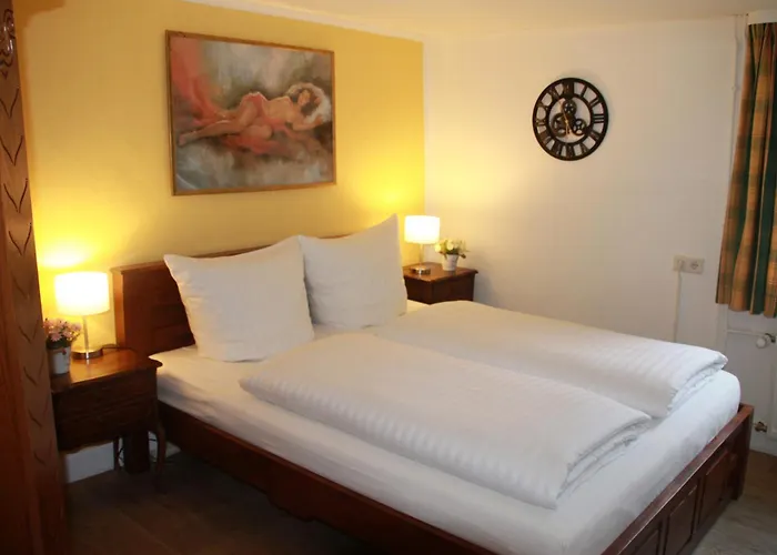 Fuer 12 Personen Sauna Garten Garage Hund * Winterberg