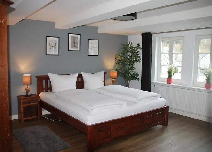 Fuer 12 Personen Sauna Garten Garage Hund Holiday home *